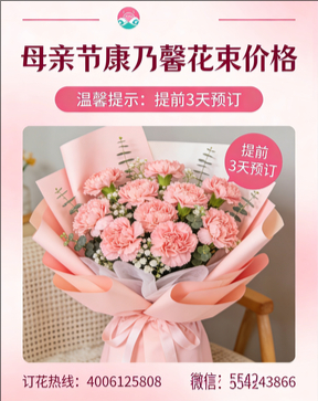 平顶山新华区花店母亲节康乃馨花束