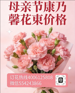 平顶山新华区花店母亲节康乃馨花束